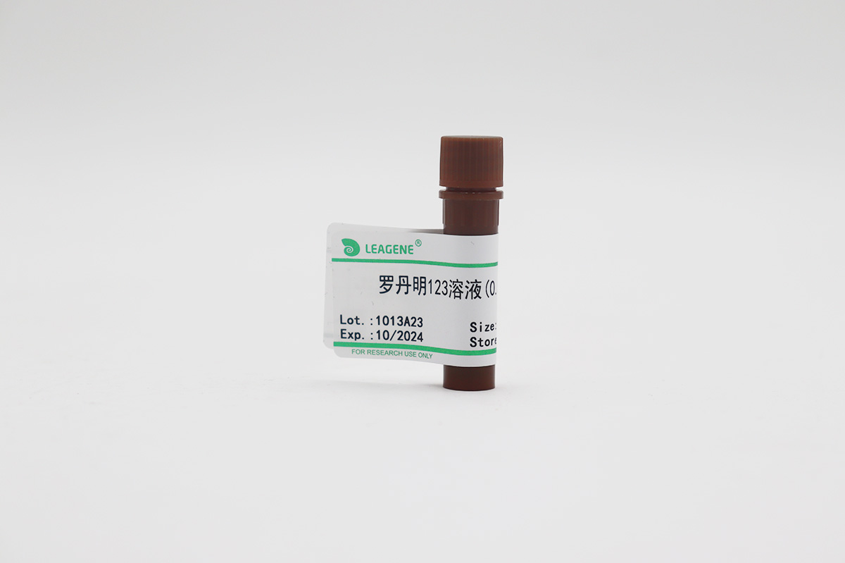 罗丹明123溶液(0.5mg/ml)