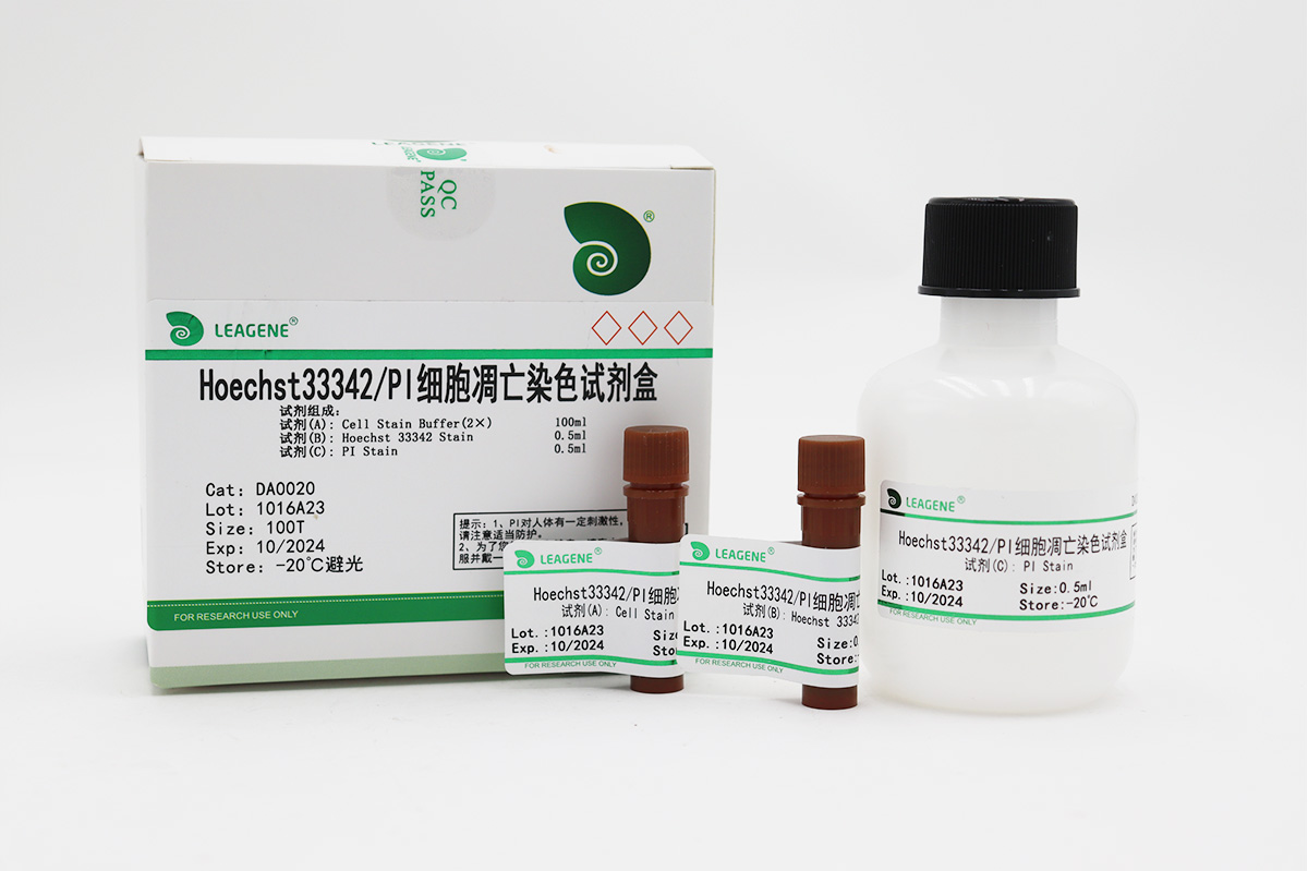 Hoechst33342/PI细胞凋亡染色试剂盒