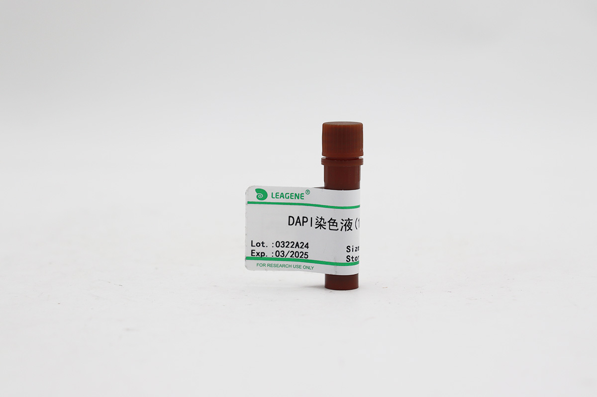 DAPI染色液(1mg/ml)