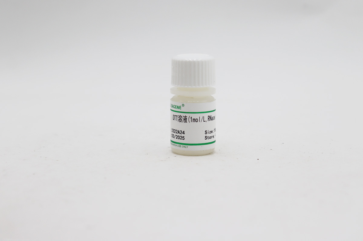 DTT溶液(1mol/L,RNase free)
