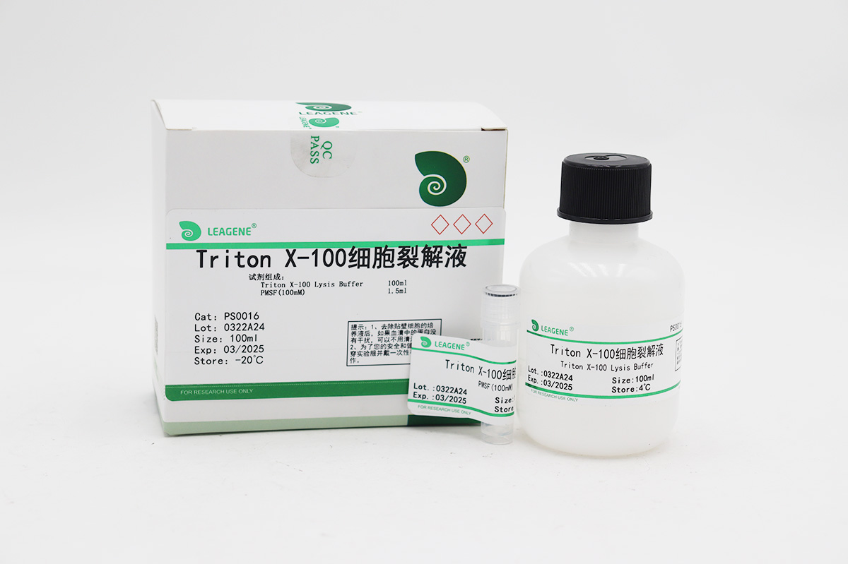 Triton X-100细胞裂解液