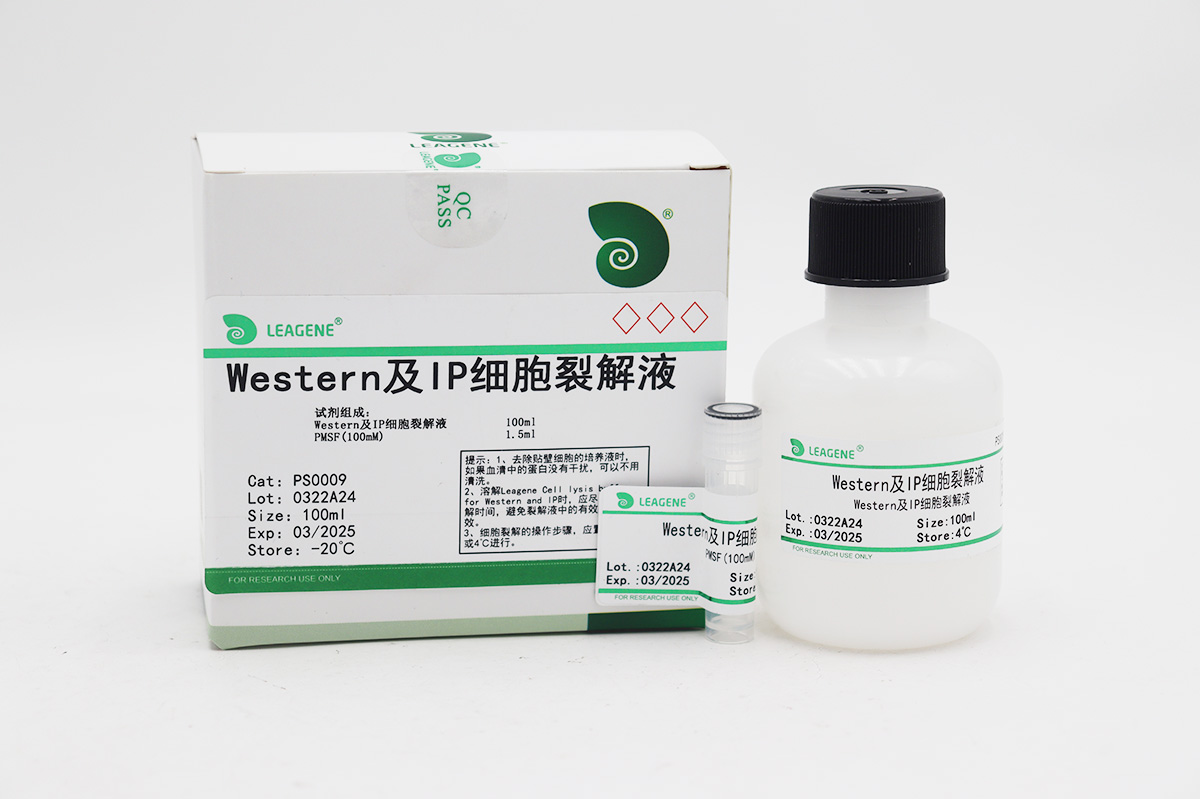 Western及IP细胞裂解液