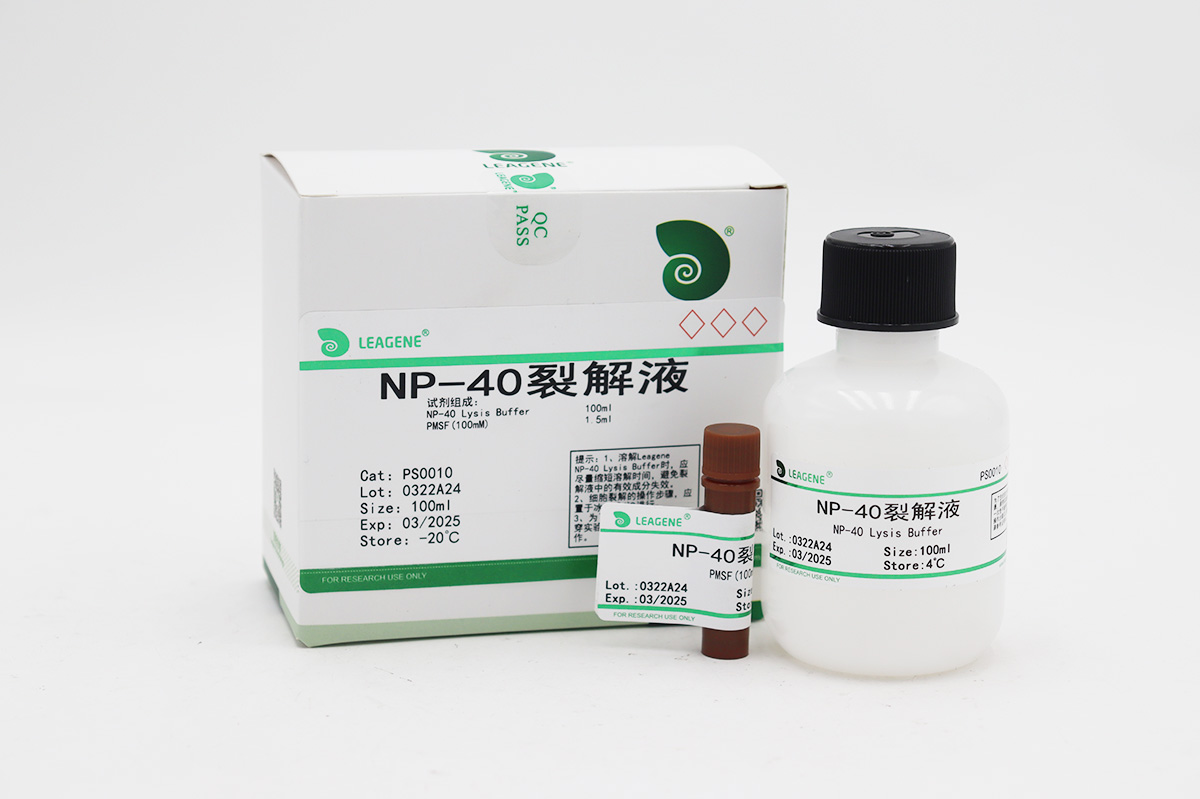 NP-40裂解液