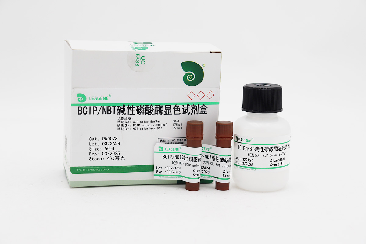 BCIP/NBT碱性磷酸酶显色试剂盒