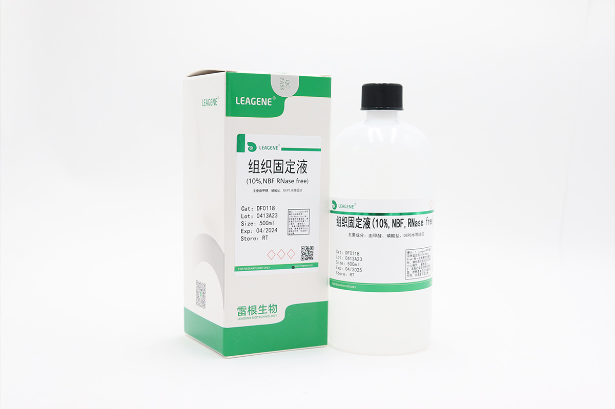 组织固定液(10% NBF,RNase free)