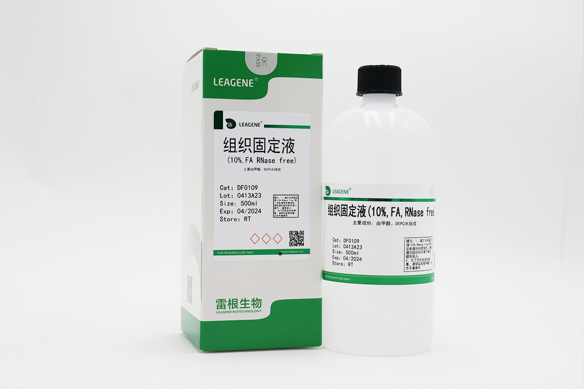 组织固定液(10% FA,RNase free)