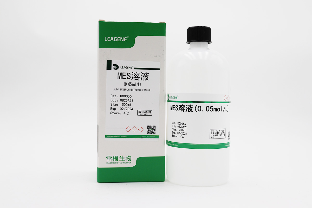 MES溶液(0.05mol/L)