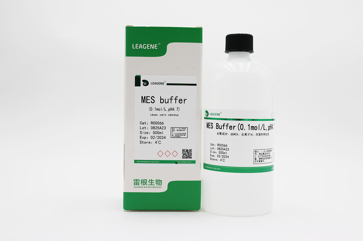 MES buffer(0.1mol/L,pH4.7)
