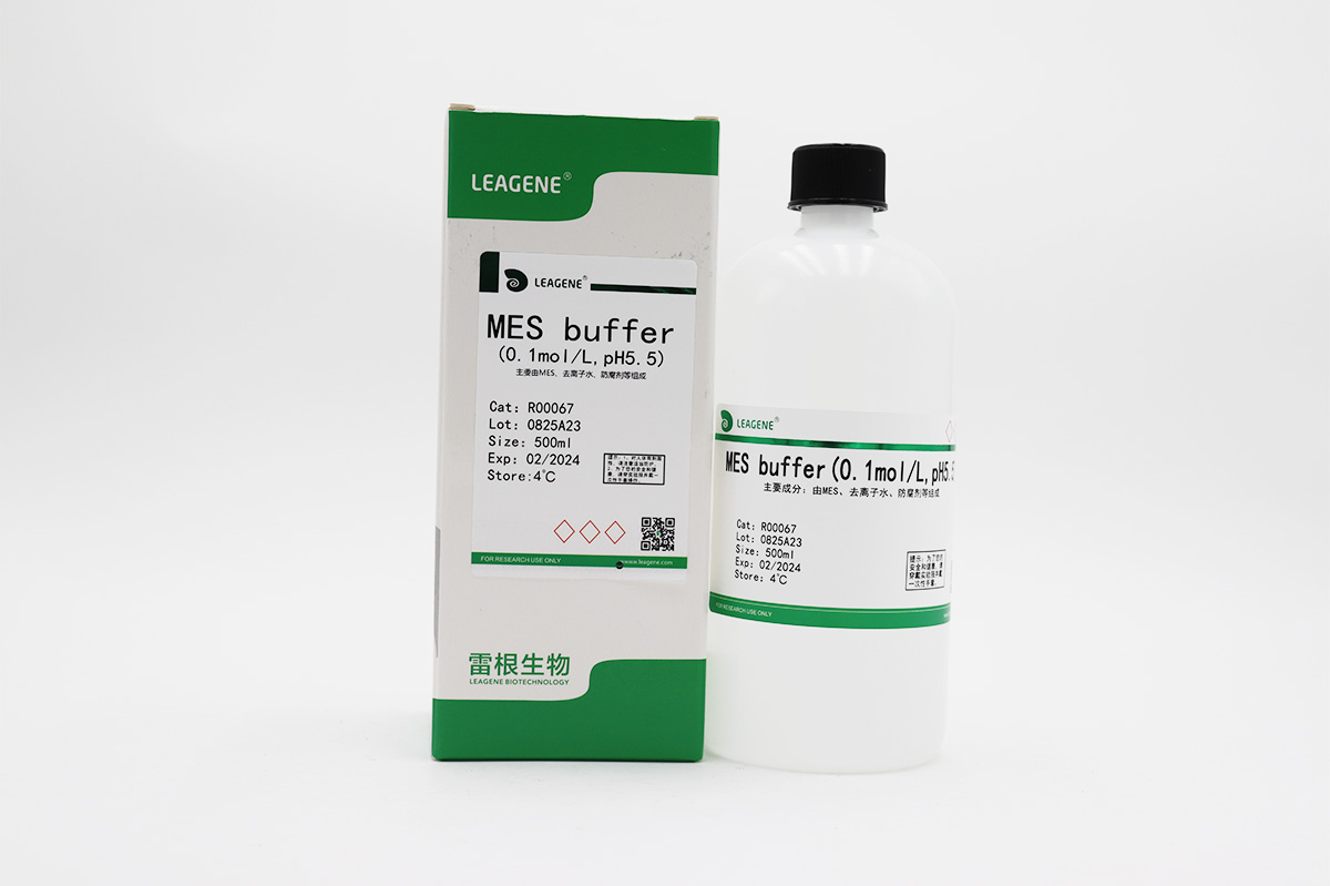 MES buffer(0.1mol/L,pH5.5)