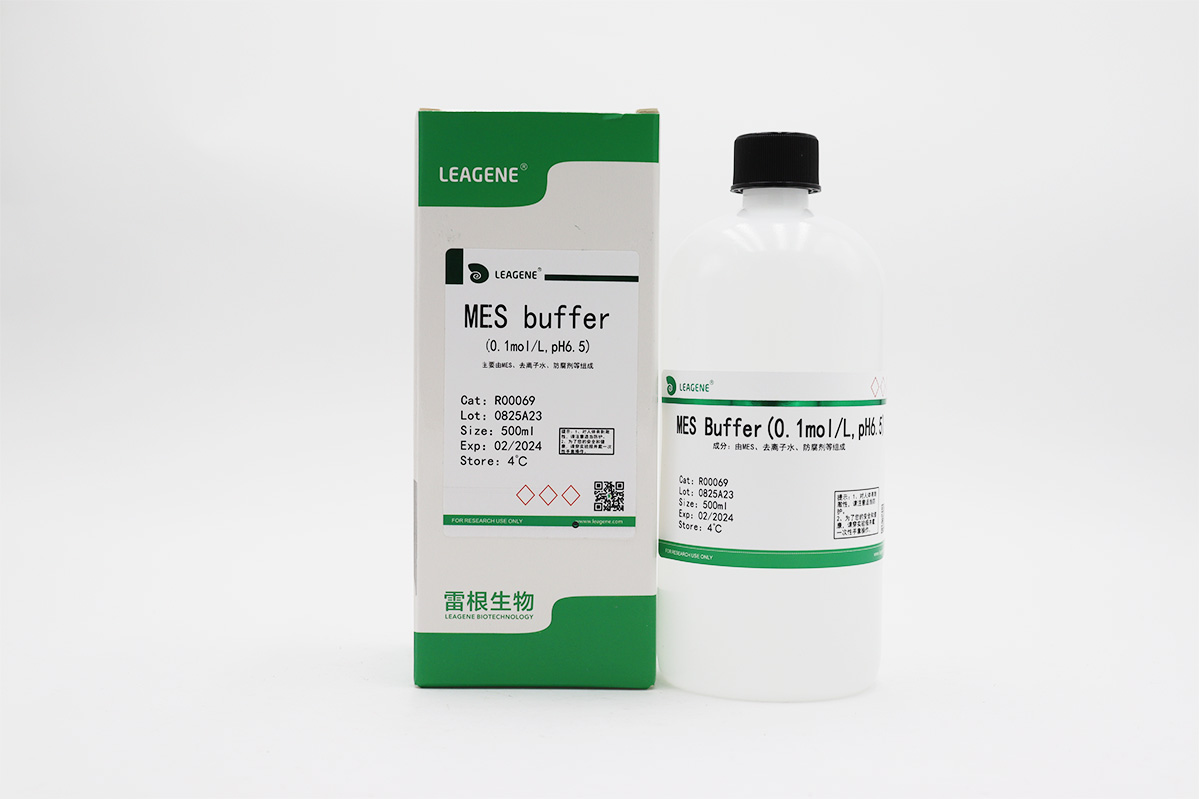 MES buffer(0.1mol/L,pH6.5)