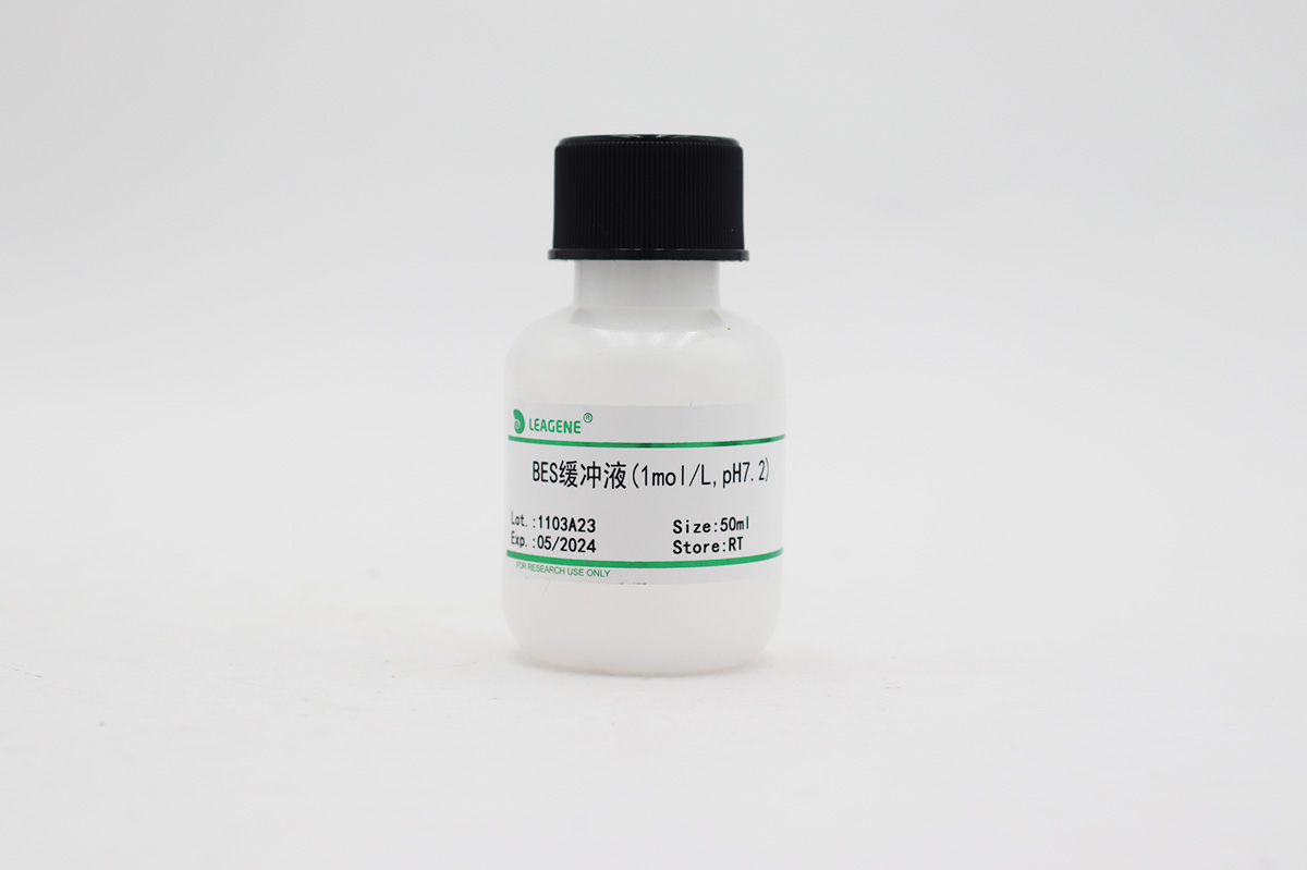 BES缓冲液(1mol/L,pH7.2)