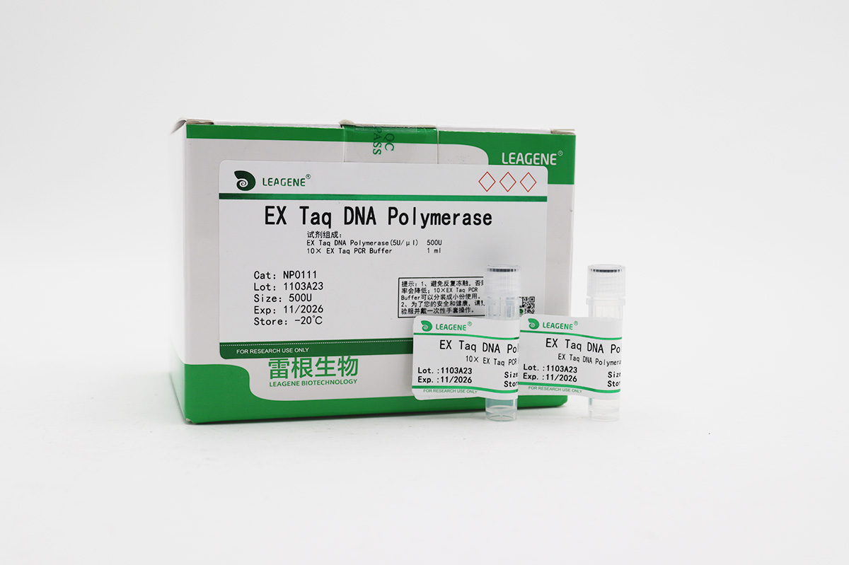 EX Taq DNA Polymerase