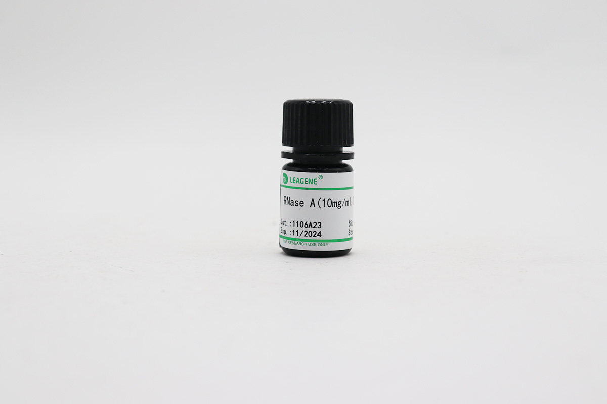 RNase A(10mg/ml,DNase free)