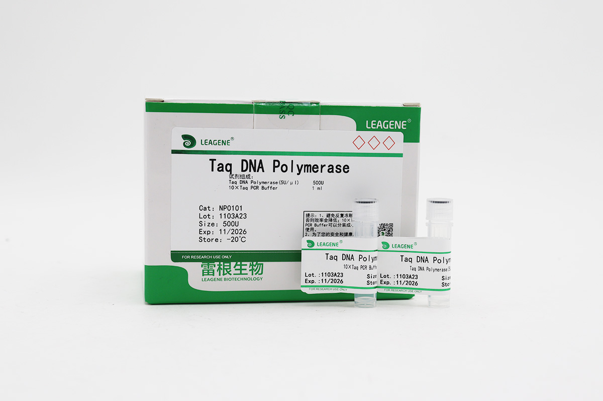 Taq DNA Polymerase