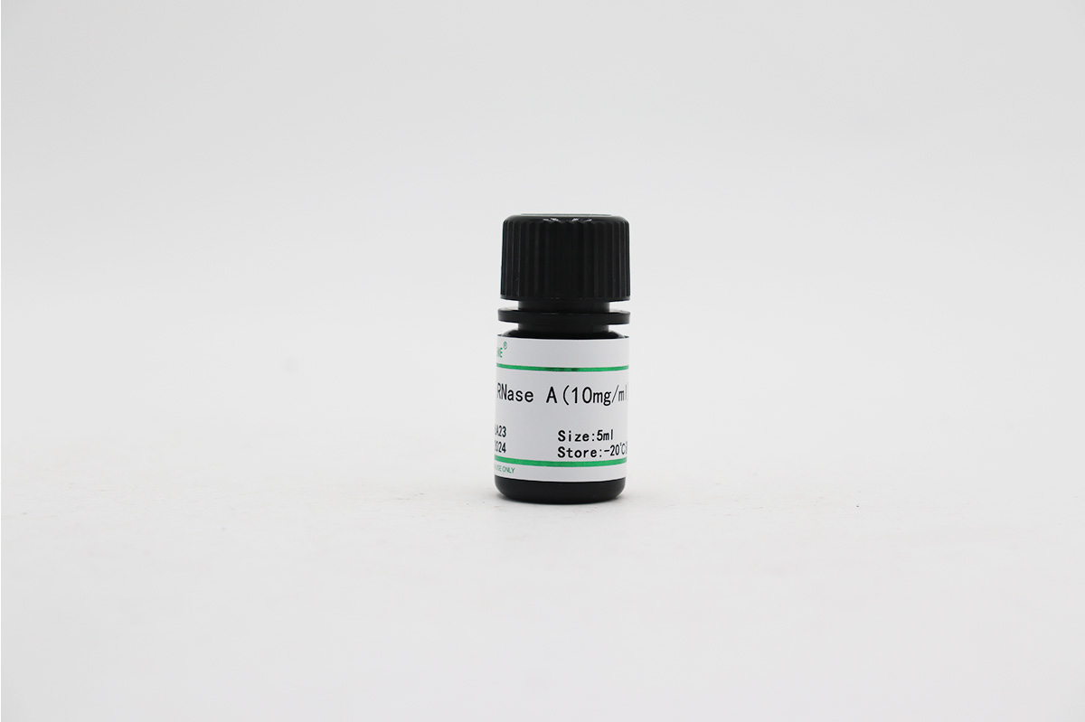 RNase A(10mg/ml)