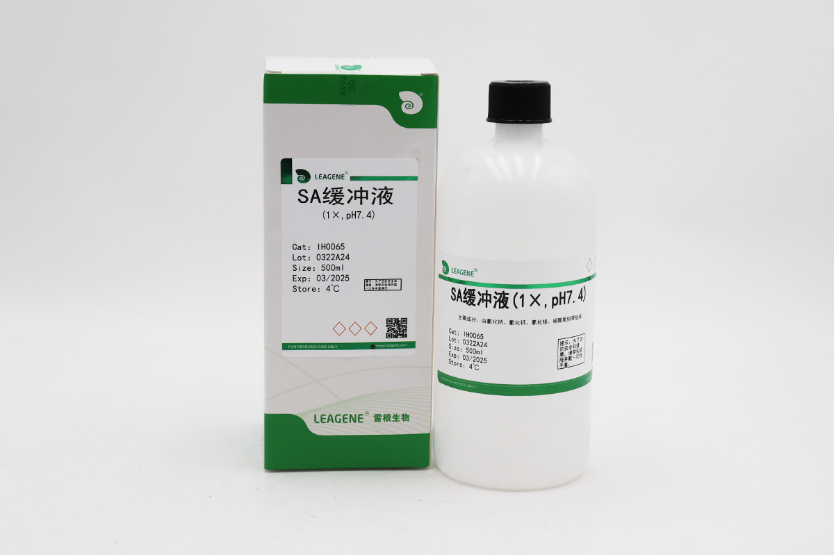 SA缓冲液(1×,pH7.4),雷根生物,IH0065