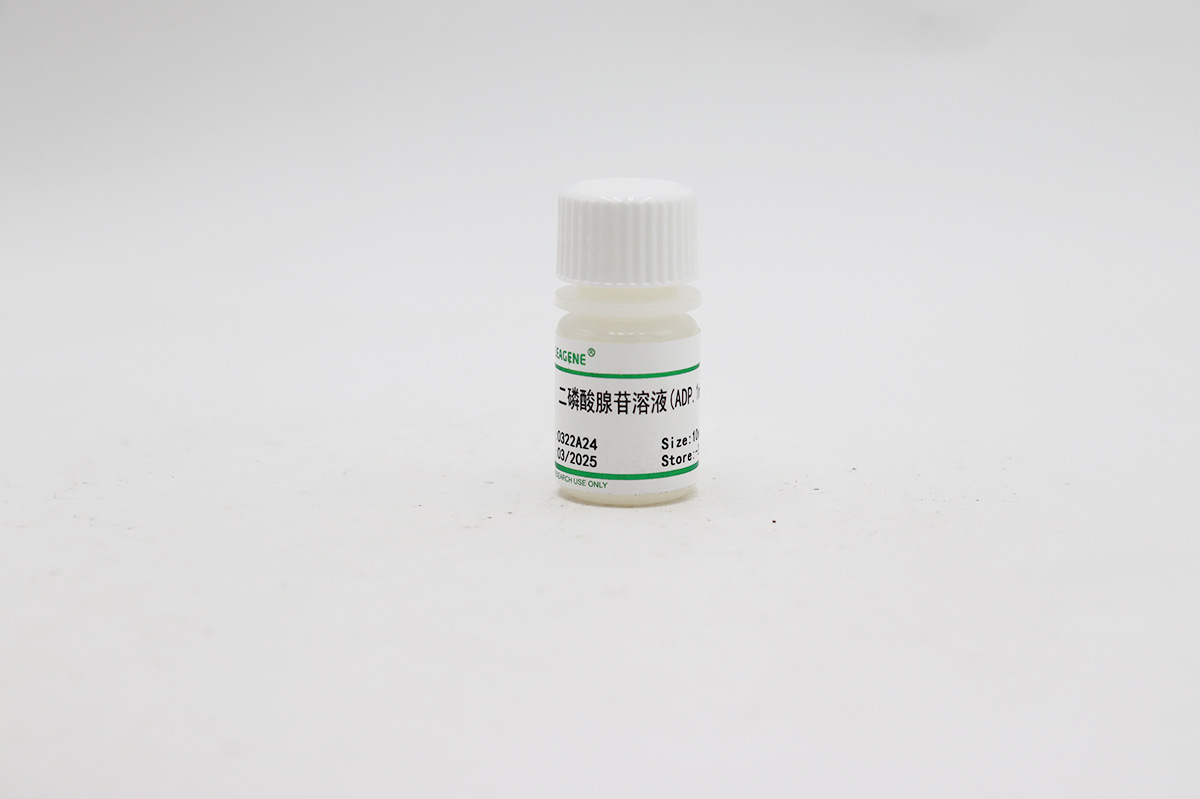 二磷酸腺苷溶液(ADP,1mmol/L)