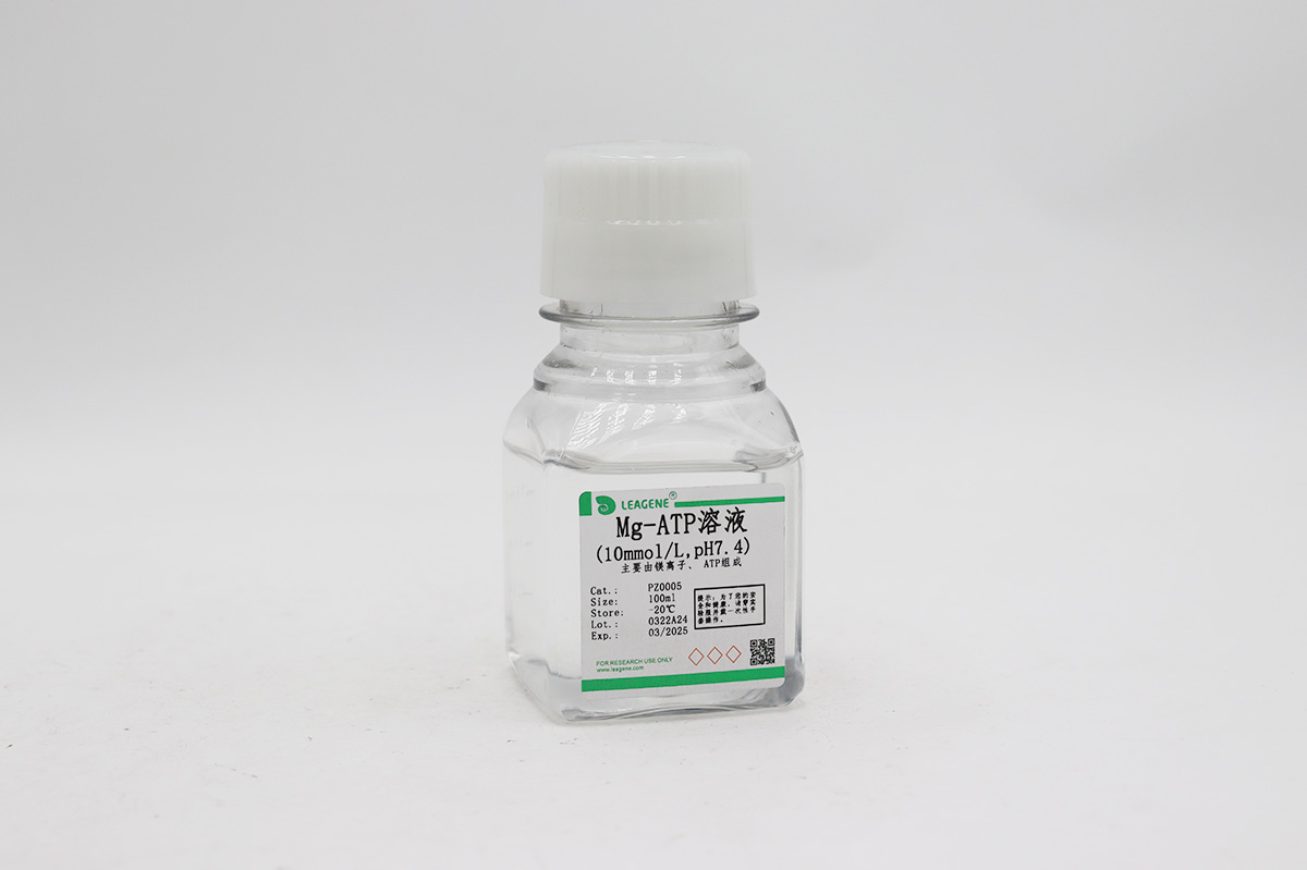 Mg-ATP溶液(10mmol/L,pH7.4)