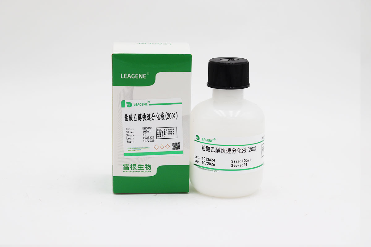 盐酸乙醇快速分化液(20×)