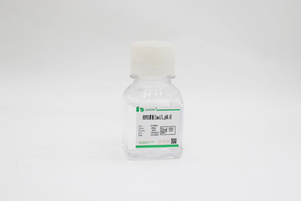 HEPES溶液(1mol/L,pH6.8)