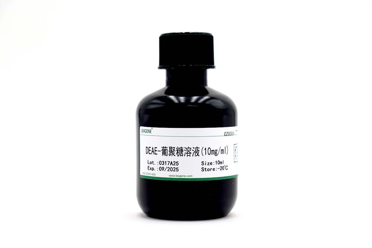 DEAE-葡聚糖溶液(10mg/ml)