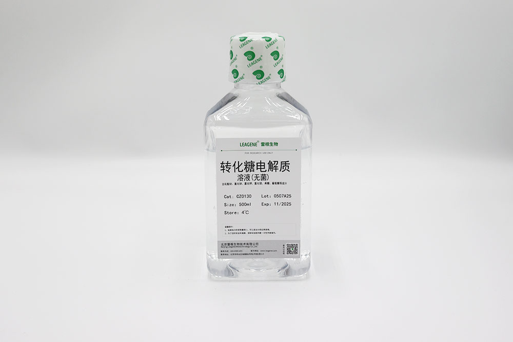 转化糖电解质溶液(无菌)