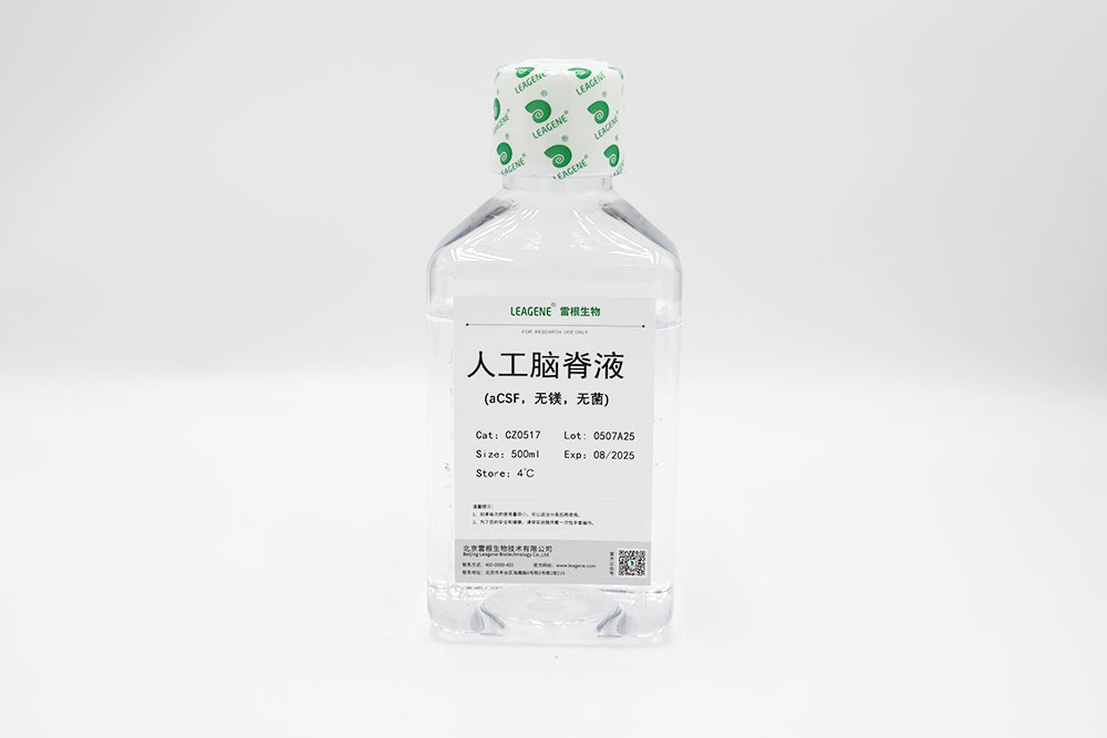 人工脑脊液(aCSF,无镁,无菌)