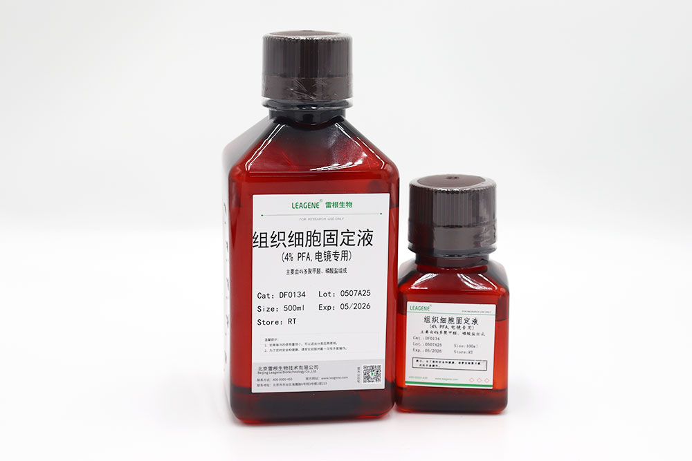组织细胞固定液(4% PFA,电镜专用)